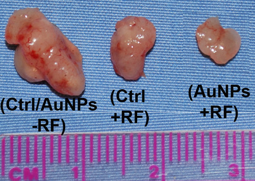 Figura 4