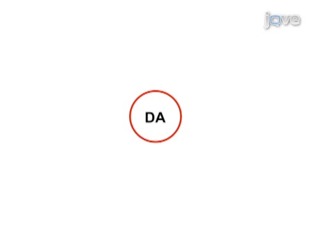 innebörden av avsugningar