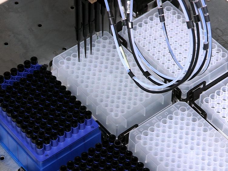 laboratorios de vórtice esteroides y diabetes