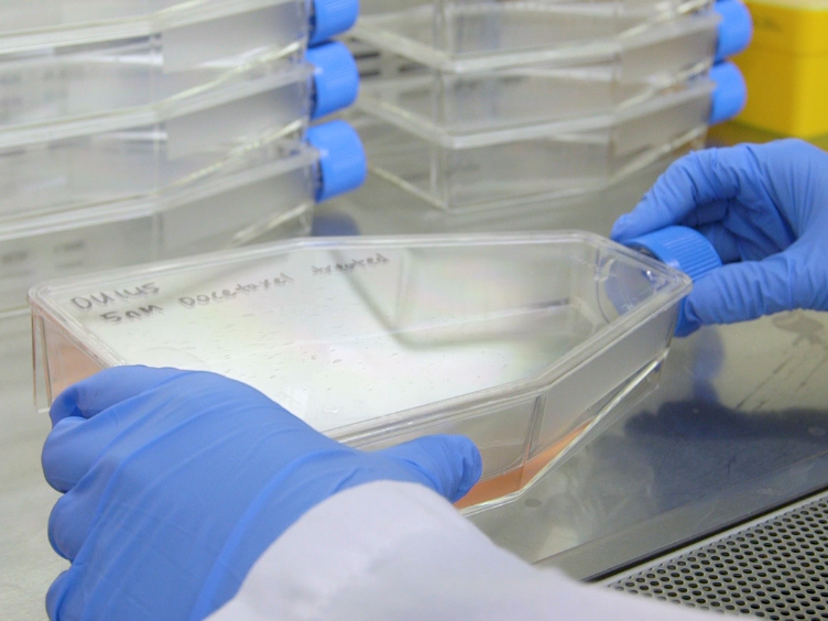 ¿qué causa el tratamiento del cáncer de próstata reaction