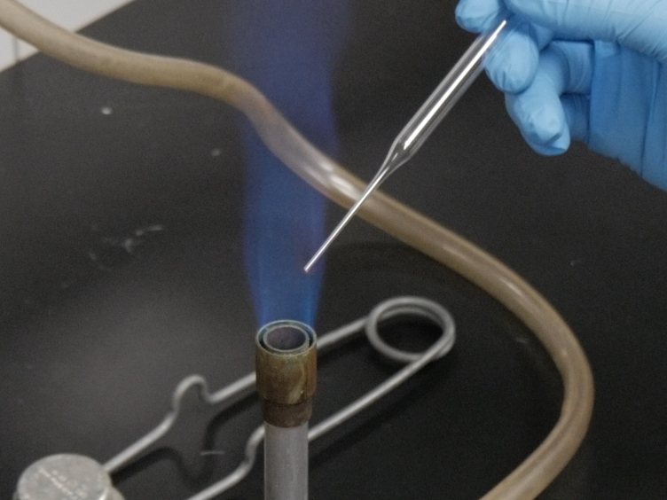 Microprobe Capillary Electrophoresis Mass Spectrometry for Single ...