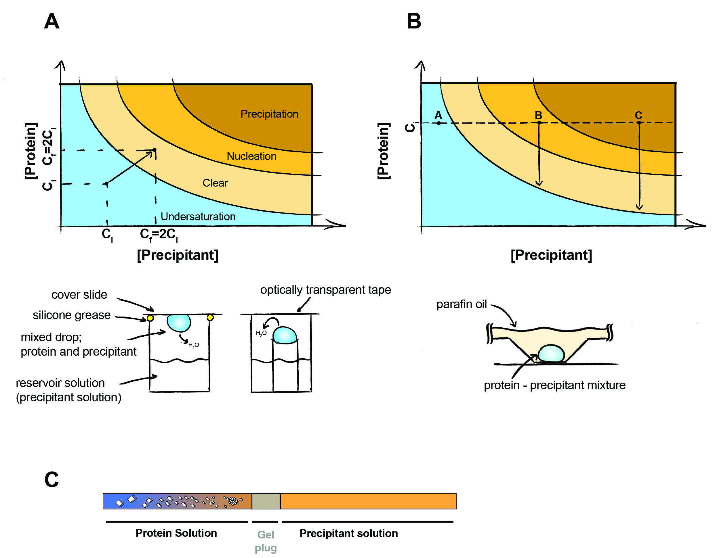 Protein Crystallization for Xray Crystallography Protocol