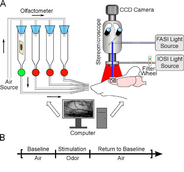 Optical Mouse Schematic - Wiring Diagram Schemas