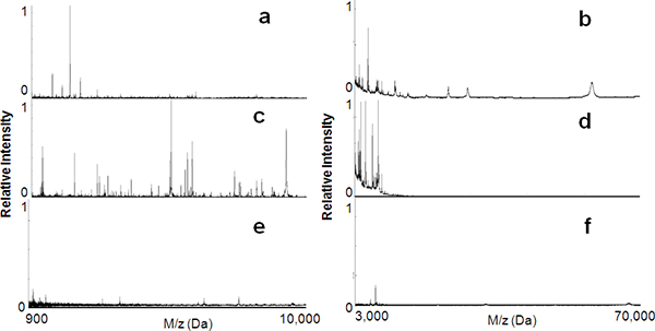 Radiocarbon dating masspektrometer
