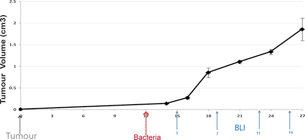 prostatitis bacteriana versus no bacteriana prostatitis bacteriana versus no bacteriana