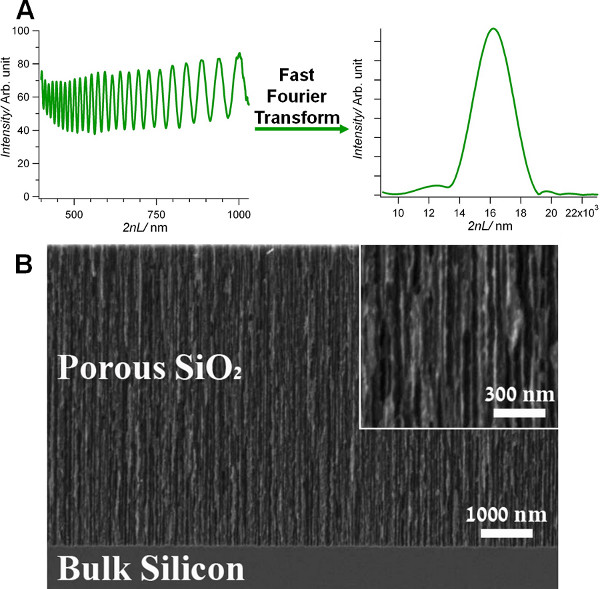 Optical Detection Of E Coli Bacteria By Mesoporous Silicon