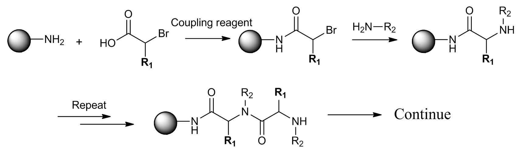 Split-and-pool Synthesis and Characterization of Peptide Tertiary Amide ...