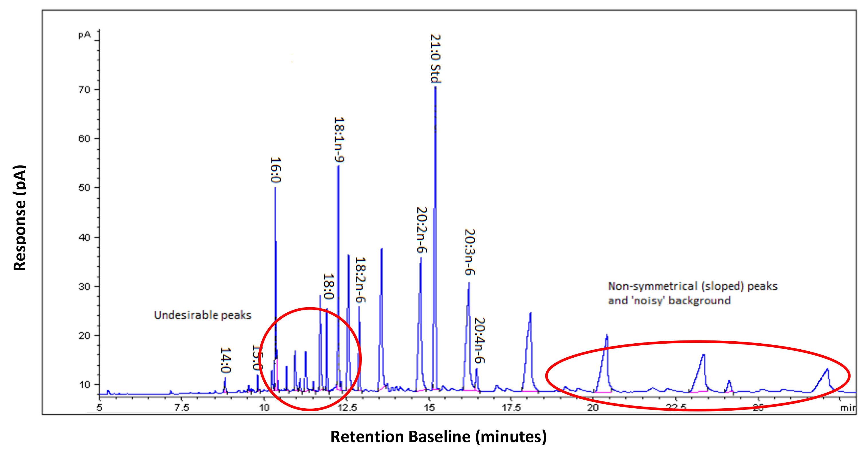 The Use Of Gas Chromatography To Analyze Compositional Changes Of Fatty 