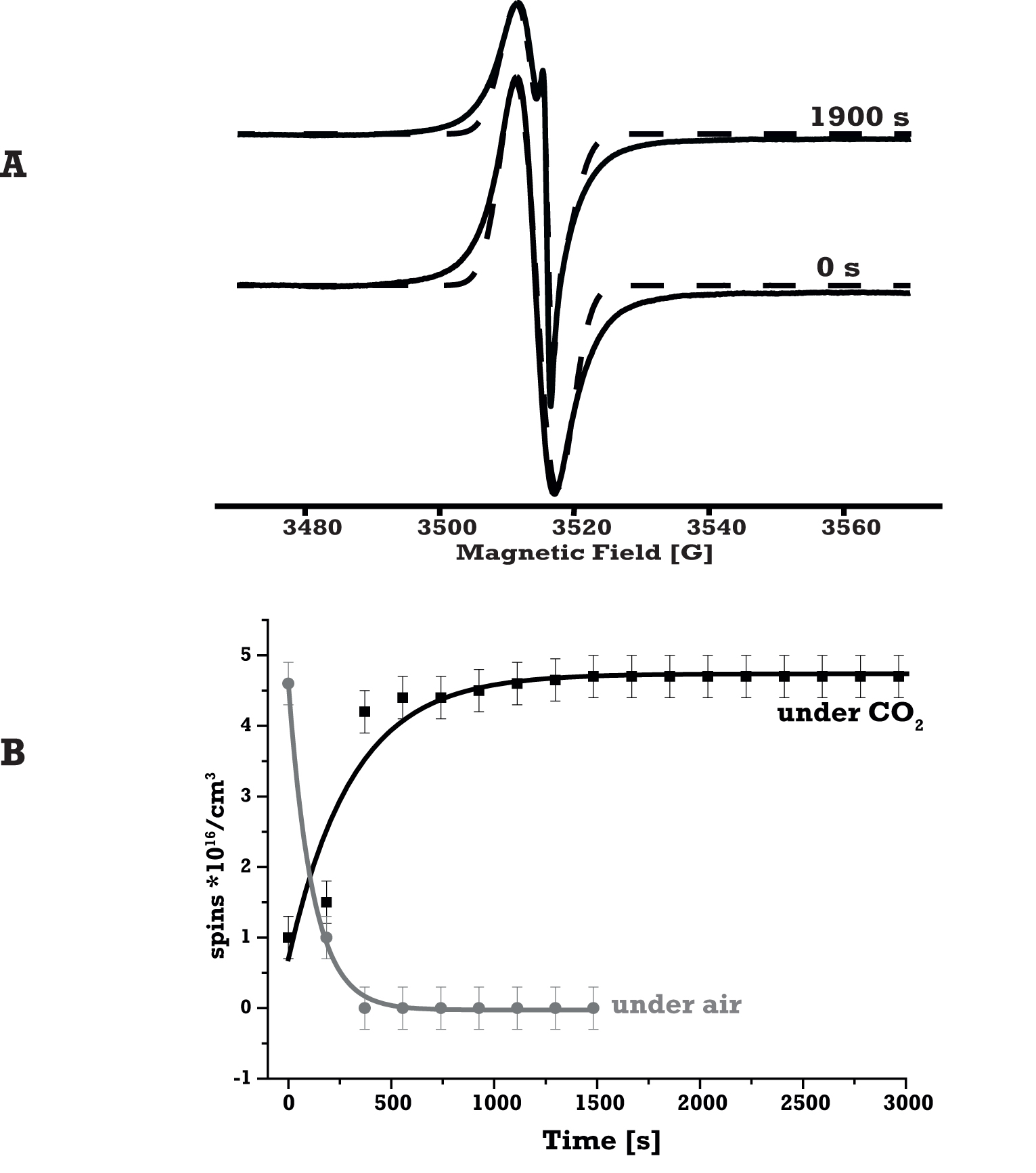 Exploring the Radical Nature of a Carbon Surface by Electron