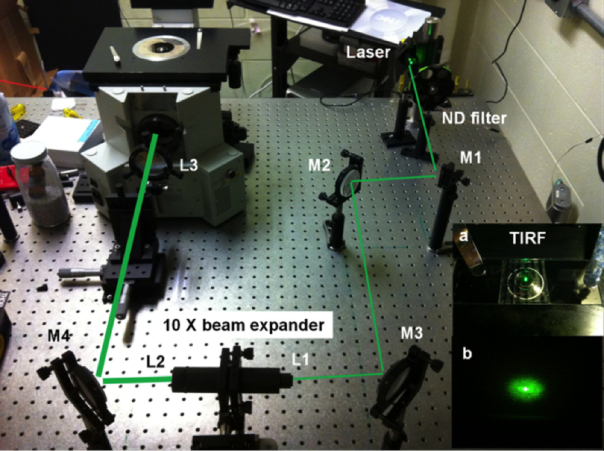 Fluorescence Imaging with Onenanometer Accuracy (FIONA) Protocol
