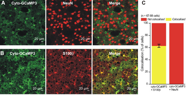 programmi di perdita di peso ihc programmi di perdita di peso ihc