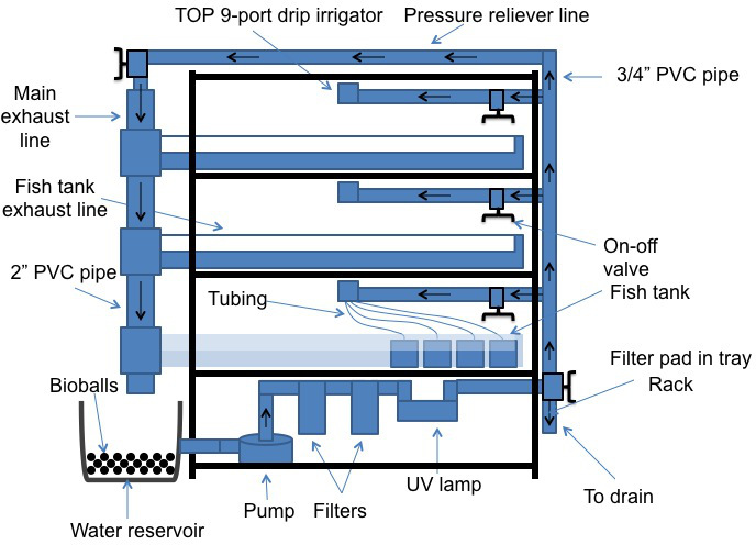 Easy-to-Build Zebrafish Facility
