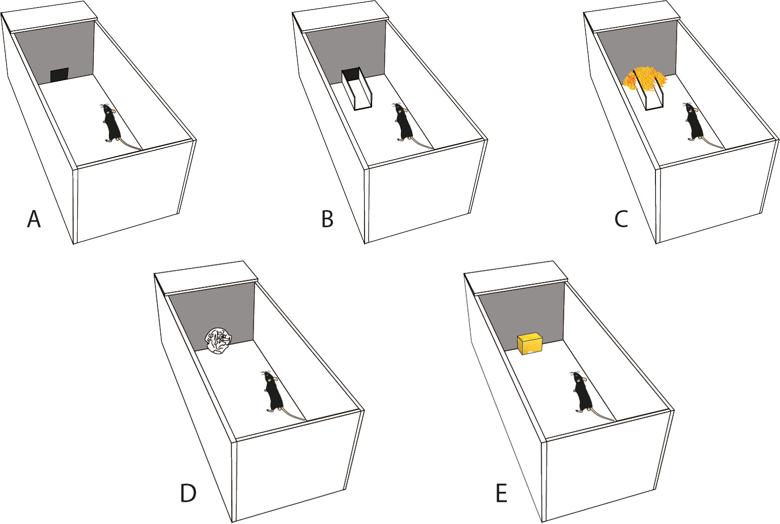 The Use of the Puzzle Box as a Means of Assessing the Efficacy of