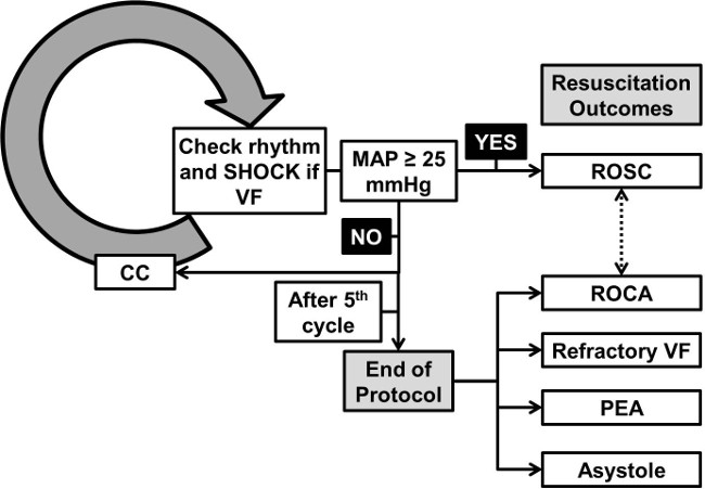 A Rat Model Of Ventricular Fibrillation And Resuscitation By