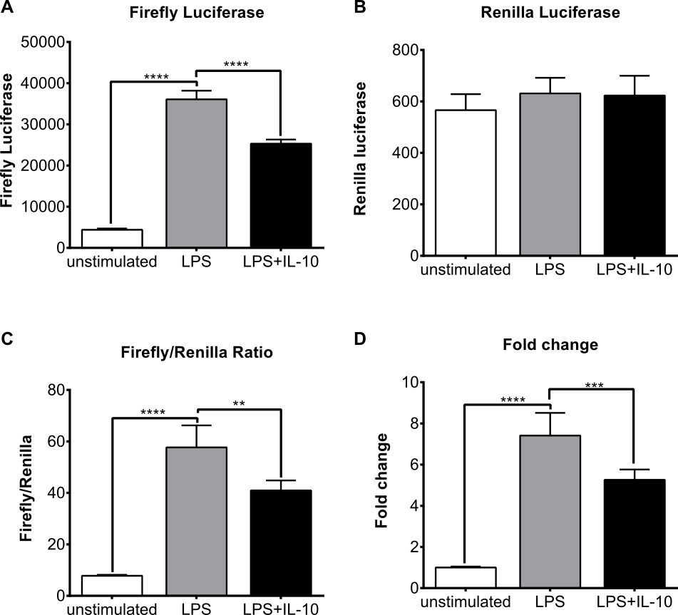 Transfecting RAW264.7 Cells with a Luciferase Reporter Gene Protocol