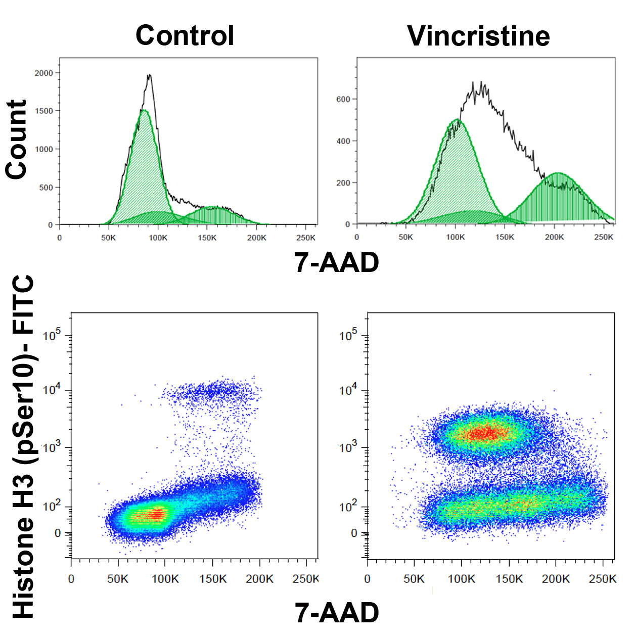 Temporal Tracking Of Cell Cycle Progression Using Flow Cytometry My Xxx Hot Girl