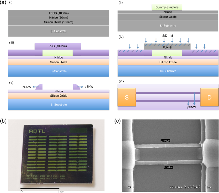 Preparation of Silicon Nanowire Fieldeffect Transistor for Chemical