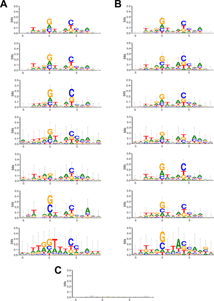 test del dna per perdita di peso dallas test del dna per perdita di peso dallas