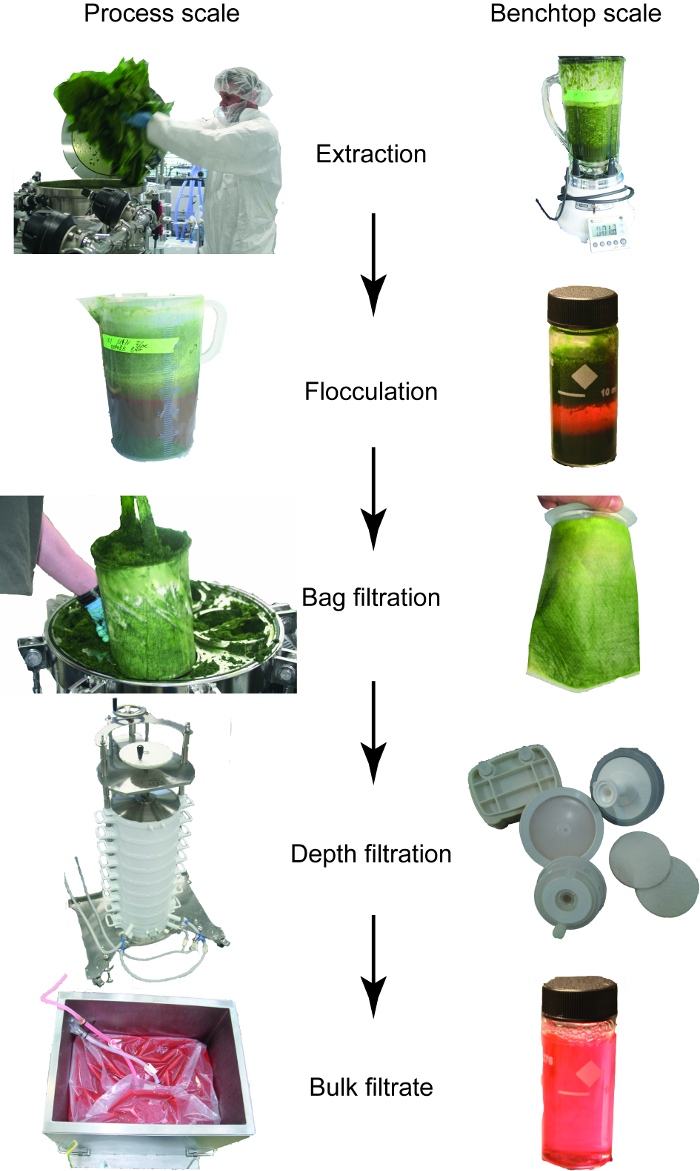 Procedure to Evaluate the Efficiency of Flocculants for the Removal of