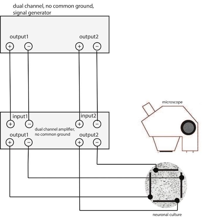 External Excitation Of Neurons Using Electric And Magnetic Fields