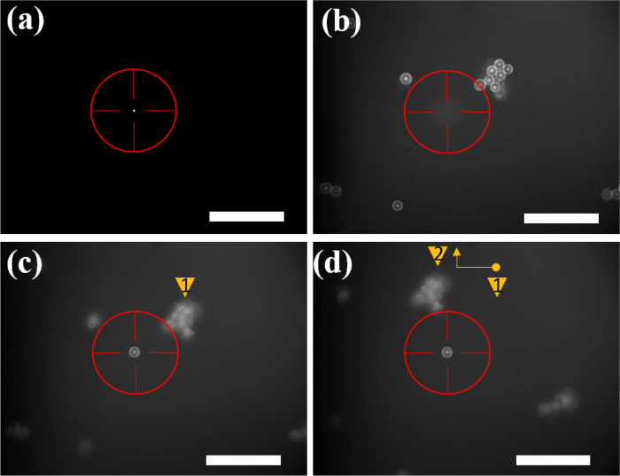 optical trap loading of dielectric microparticles in air logo psdleri