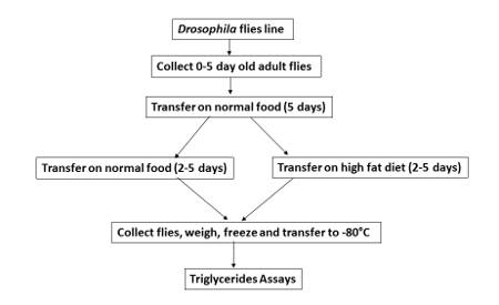tabella comparativa di dieta e nutrizione