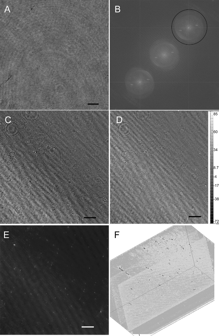 Quantifying Microorganisms At Low Concentrations Using
