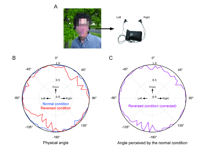A Method to Study Adaptation to LeftRight Reversed Audition Protocol