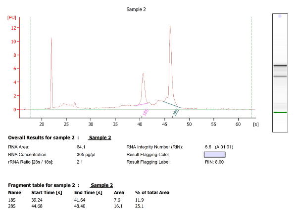 Isolation And Rna Extraction Of Neurons Macrophages And Microglia