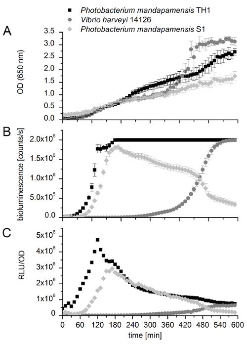 In Situ Measurement and Correlation of Cell Density and Light Emission
