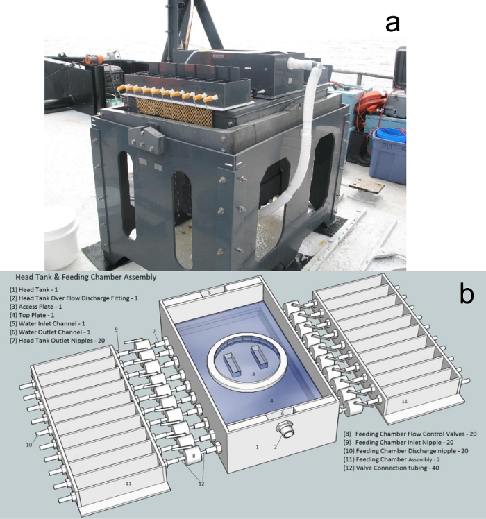 Design and Use of an Apparatus for Quantifying Bivalve Suspension