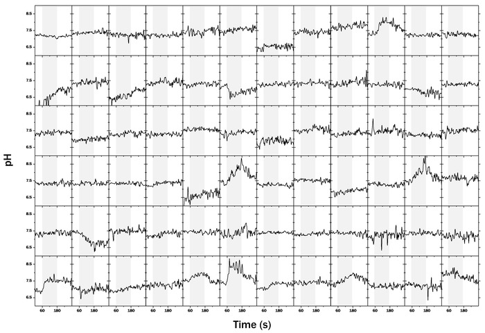 Single Liposome Measurements For The Study Of Proton Pumping