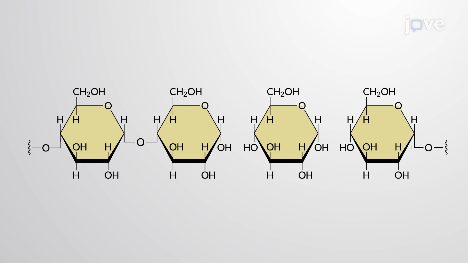 Dehydration Synthesis