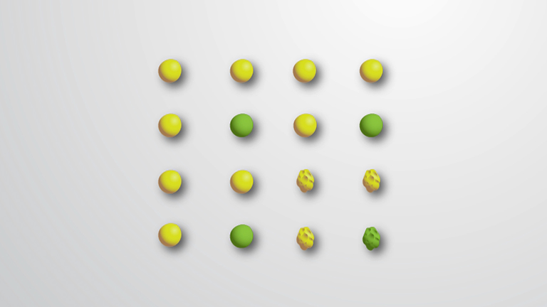 Dihybrid Crosses