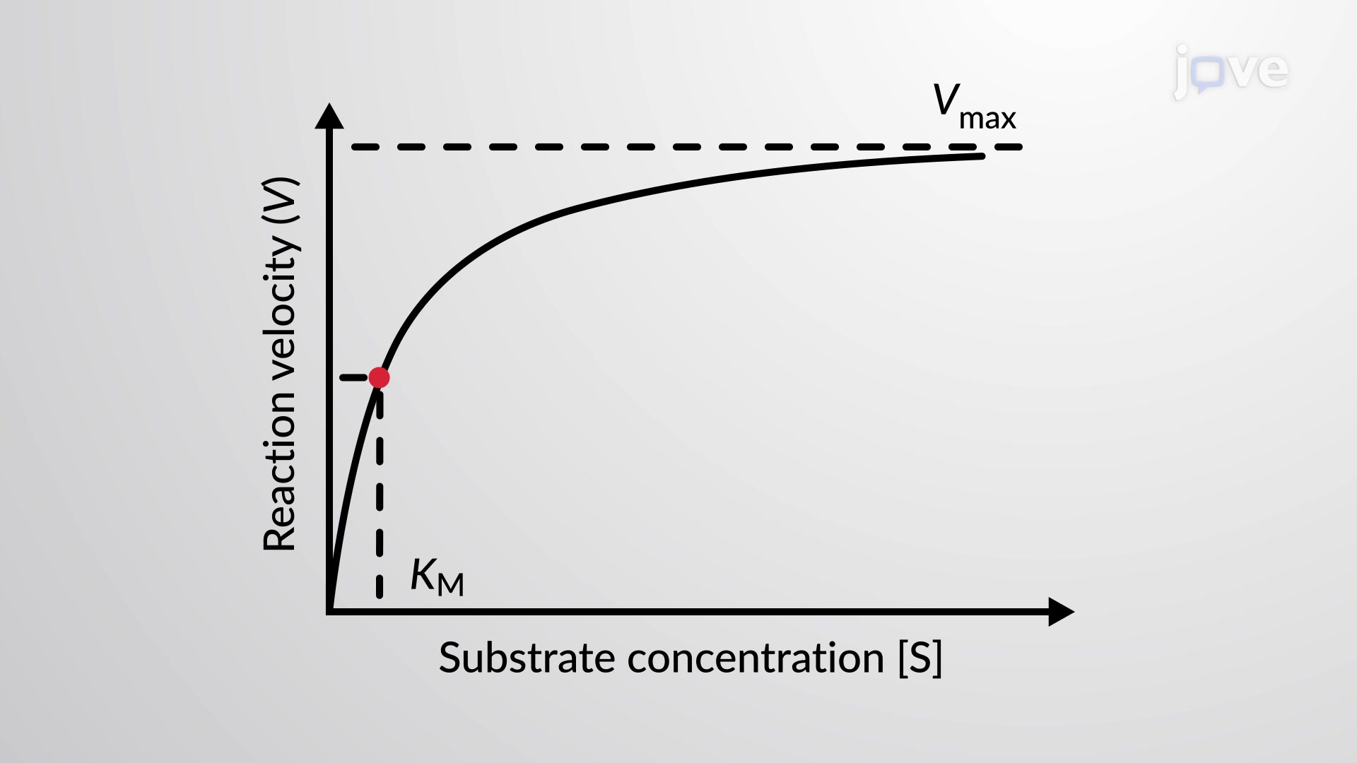 Enzyme Kinetics