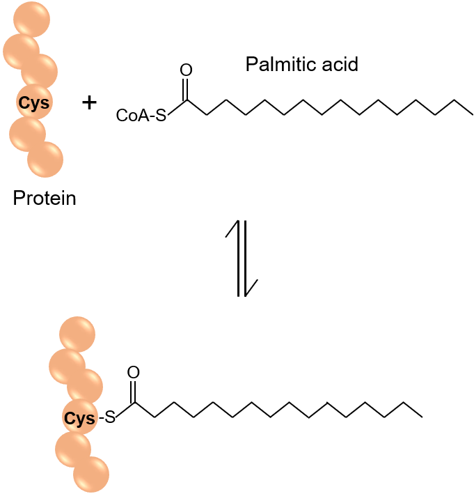 Methods Collection Image