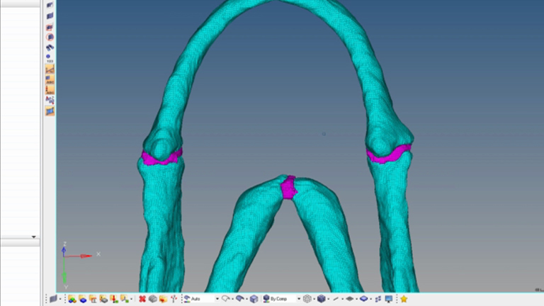 Building Finite Element Models to Investigate Zebrafish Jaw Biomechanics