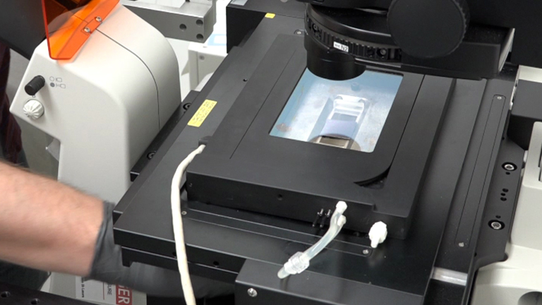 Assembly and Tracking of Microbial Community Development within a Microwell Array Platform