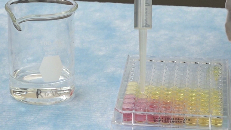 Detecting Estrogenic Ligands in Personal Care Products using a Yeast Estrogen Screen Optimized for the Undergraduate Teaching Laboratory
