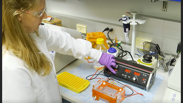 Collection and Extraction of Occupational Air Samples for Analysis of Fungal DNA