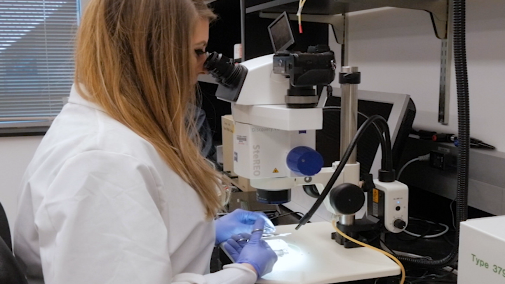 Chromatin Spread Preparations for the Analysis of Mouse Oocyte Progression from Prophase to Metaphase II